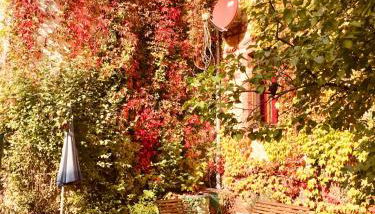 Ferienwohnung Huttenstraße Halle - Foto 3, Garden