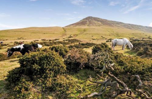 Happy Horse Cottages - Foto 6