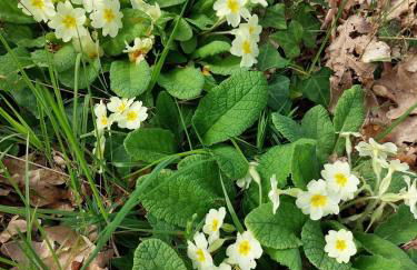 Gîte des Graves de Lilou - Foto 22