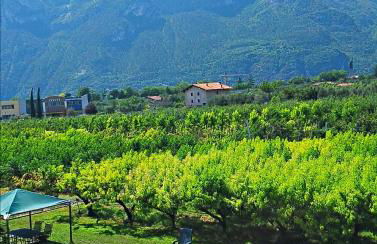 Agritur Planchenstainer - Foto 19