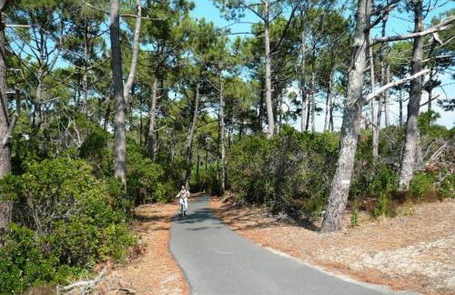 Villa de plage de caractere - 14 pers - CAP FERRET - Foto 17