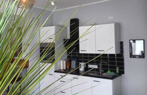 Moderne Apartments Bedburg-Hau - Foto 6