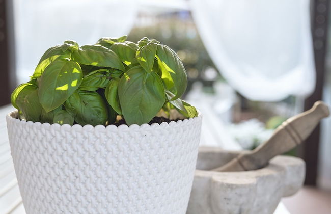 Affittacamere Villa Marcella - Foto 80