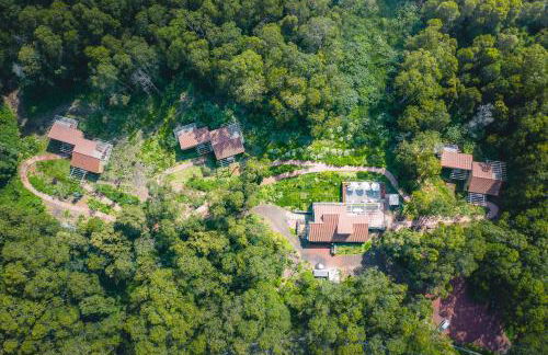 Cabanas da Viscondessa - Foto 17