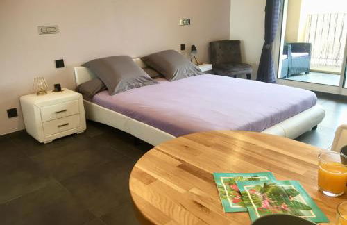 Le Port Plage Studio tout confort Terrasse Clim - Foto 1