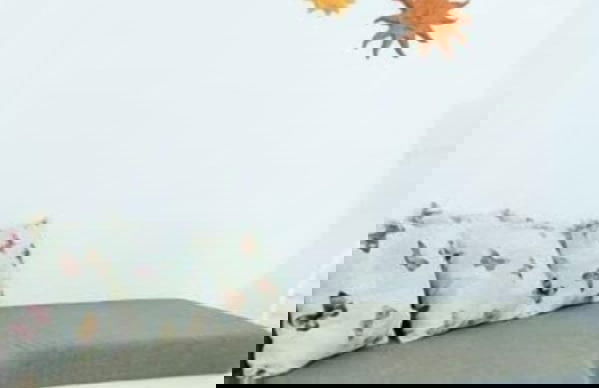 Cozy 2-bedroom House in Tinos - Foto 11