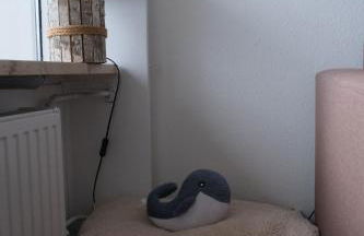 Mehr Meer geht nicht - Foto 15