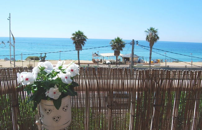 Panier en Osier - Foto 27