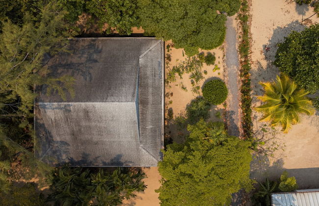 Tropical Breeze - Foto 4