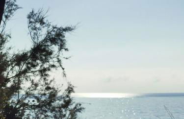 AcasaDiMiki - Photo 31