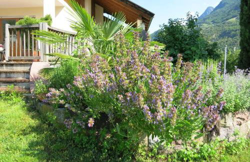 Feldererhof - Foto 15