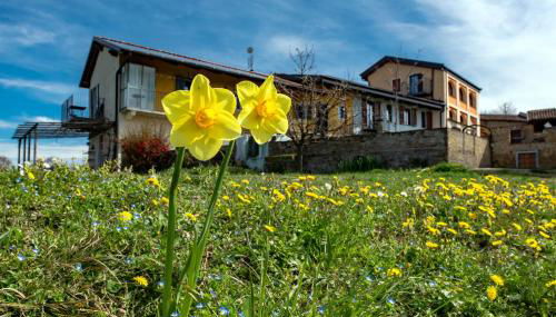 Cascina Nomade - Wine & Scenic Retreat - Foto 3, Garden, Garden view