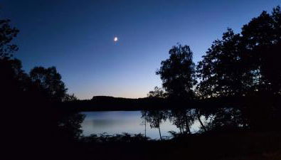 Le Pas du Loup - Photo 4