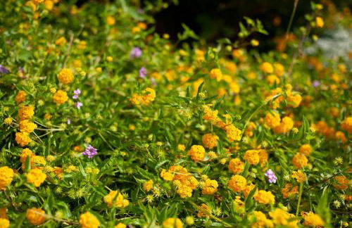 Casa Palinuro Vacanze fronte spiaggia - Photo 58