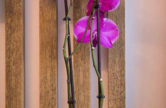 Downtown Oasis - Photo 54