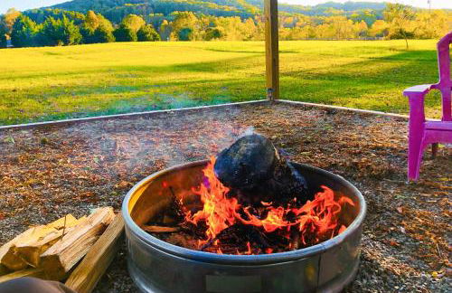 Lil Yellowstone - Foto 5