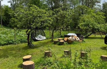 Zdzisiówka - Foto 50