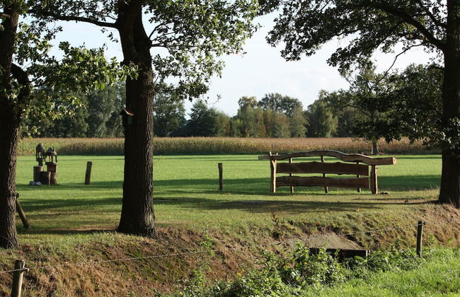 Holiday Home in Geesteren With Roof Terrace,garden Furniture - Photo 70