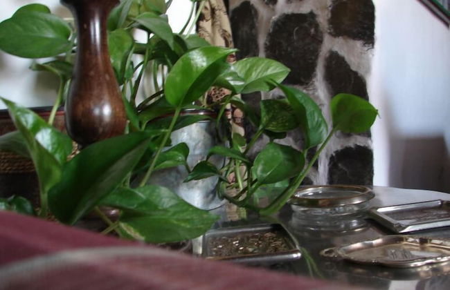 Magina Dream Pegalajar - Foto 70