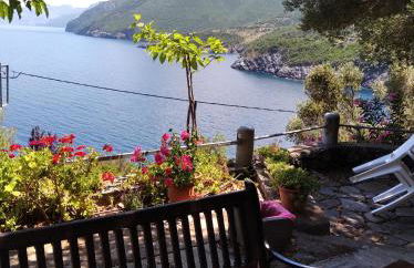 Dialiskari#4 - Foto 1