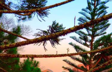 Casa Fazenda Inglesa Petrópolis RJ - Foto 42