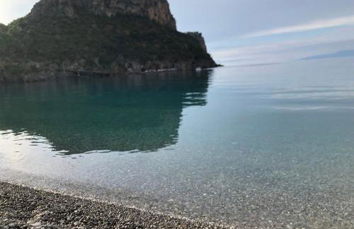 Un Capriccio - Ginepro - Foto 44