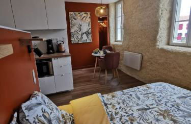 Les appartements du centre, refaits à neuf, climatisés, hyper centre, 50m à pieds des commerces, restaurants, parking gratuit - Foto 22