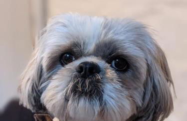 The Stables - Bankshill - Photo 9