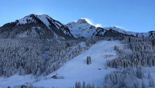 Appartement de charme rénové proche du centre et des pistes avec Wi-Fi - FR-1-692-91 - Foto 2