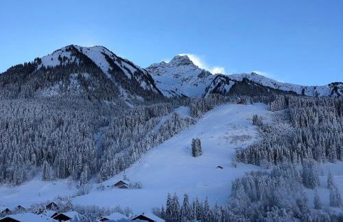 Appartement de charme rénové proche du centre et des pistes avec Wi-Fi - FR-1-692-91 - Photo 2