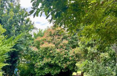 Stunning Boutique gîte Flore at Vive le Vert - Foto 30