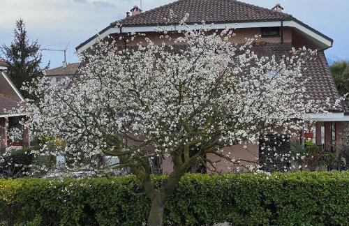 Il Ciliegio Relax & Wellness - Photo 20