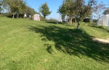 VillaHarmony wartet auf Familien mit Hund! - Foto 15