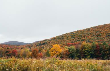 Mountain Brook Cabin - Foto 23