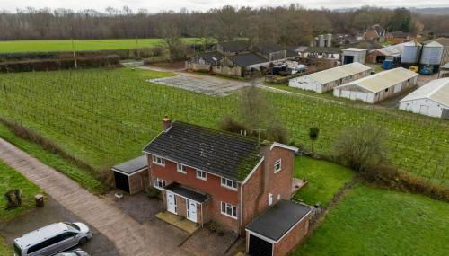 Cosy 3BR Country Home Near Vineyards - Foto 4, Garden