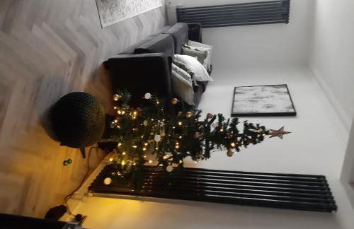 Barmouth High Street Family Apartment - Foto 46