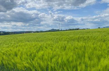 Ferienwohnung Schloss Heldritt - Foto 13