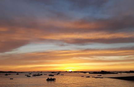 Gite de Kervao, Camélias, proche mer (800 mètres), meublé tourisme 3 étoiles - Foto 10