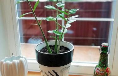 Apartament Fabryka Endorfin Kłodzko - Foto 34