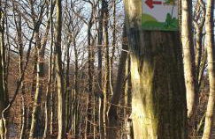 Ferienhaus "Auszeit mit Herz" im Ferienpark Extertal - Kamin, Fass-Sauna, Massagesessel - Foto 40