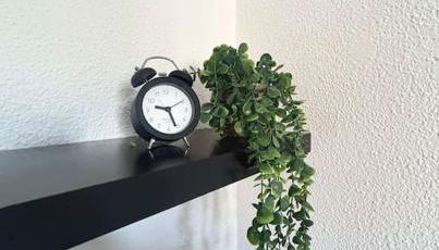 Nid Douillet - Foto 2