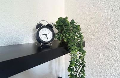 Nid Douillet - Foto 2