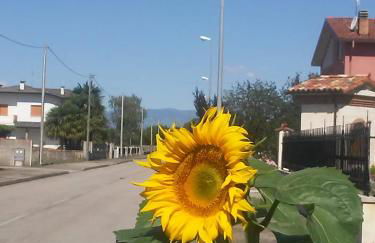 Casa Ortensia - Foto 56