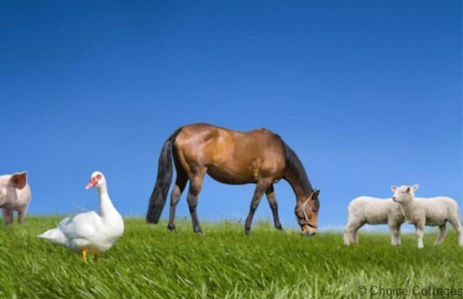Croyde Moorlea 2 Bedrooms - Photo 19