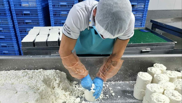 See how cheese is made