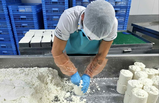 Visita del caseificio Montesdeoca - Foto 3