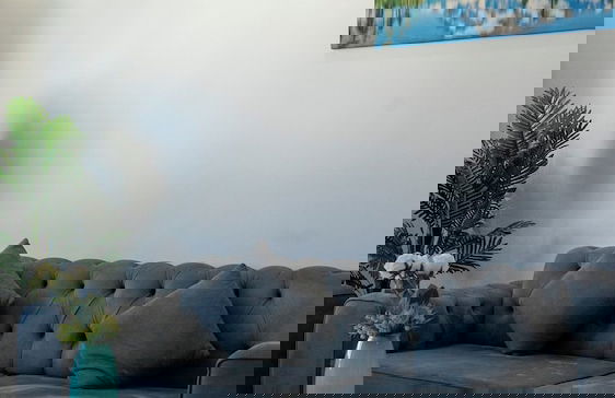 Al Safwa One - Photo 70