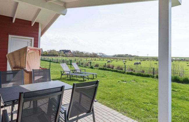 Strandflieder - Foto 11