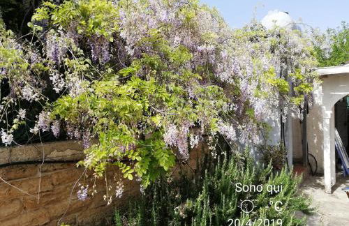 Holiday home Riserva Marina Protetta - Foto 13