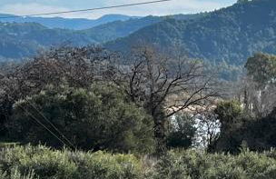 Olympia House Dionisos and Dimitra II - Foto 30